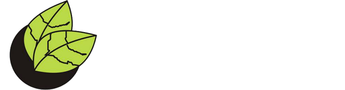 Projektowanie ogrodów i zieleni Wrocław